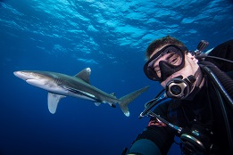 Shark selfie