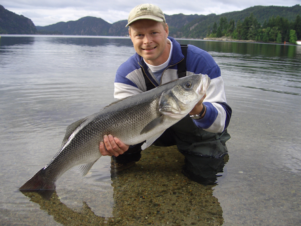 Tor Inge Leidland med en havabbor ved sjøen