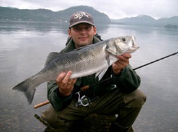Havabborfiske i Flekkefjord – en tur fra daggry