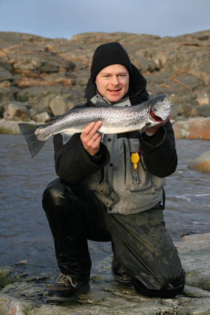 Sjøørret 7